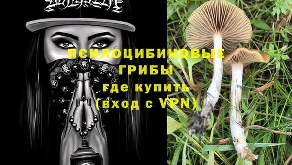 эйфоретик Абаза