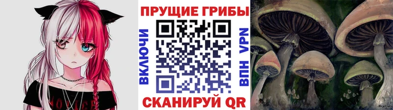 Псилоцибиновые грибы прущие грибы  mega онион  Электроугли  где найти наркотики 